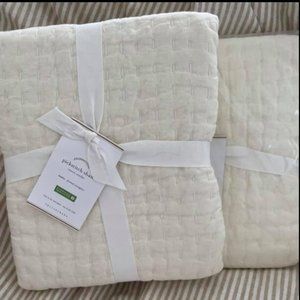Pottery Barn Ivory EURO Shams